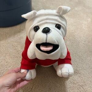 UGA Mascot dog